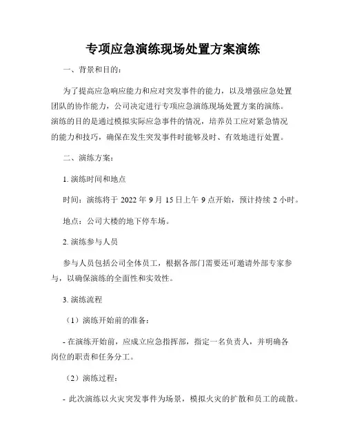 专项应急演练现场处置方案演练