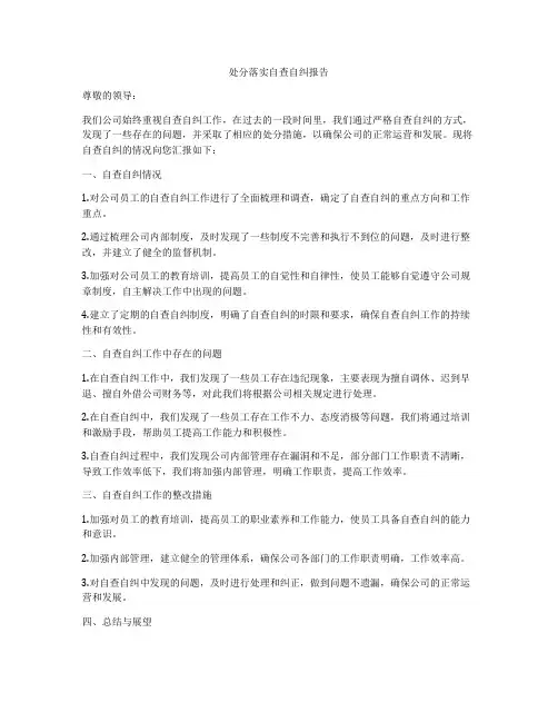 处分落实自查自纠报告