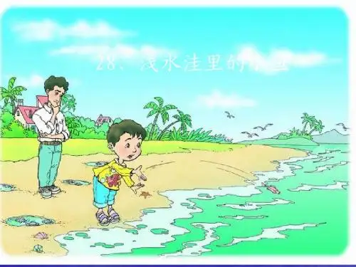 《浅水洼里的小鱼》课件
