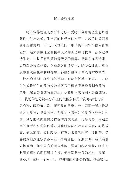 牦牛养殖技术
