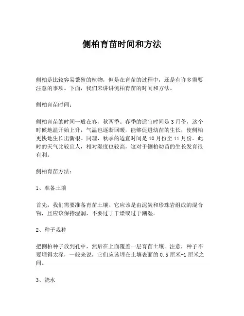 侧柏育苗时间和方法