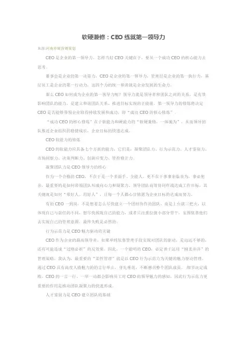 软硬兼修：CEO练就第一领导力