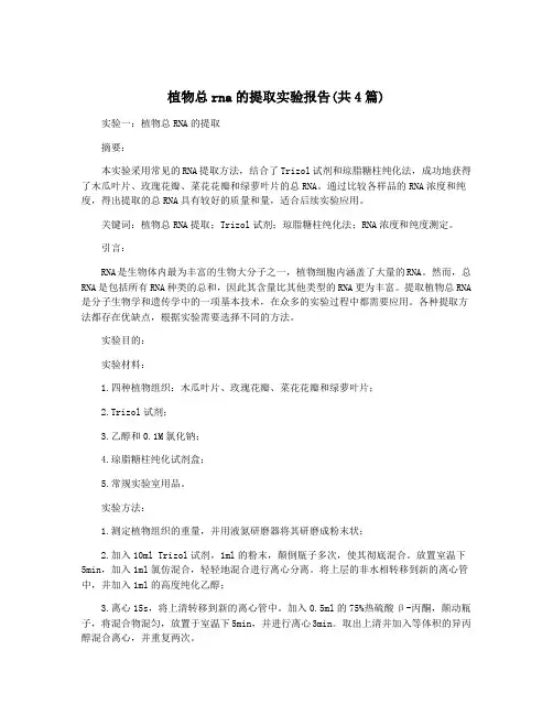 植物总rna的提取实验报告(共4篇)