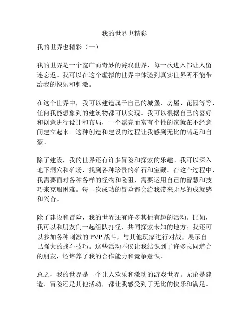 我的世界也精彩