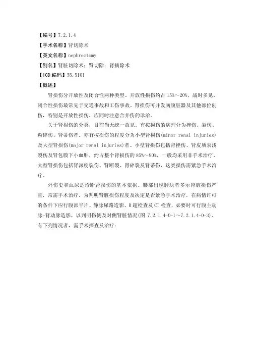 肾切除术