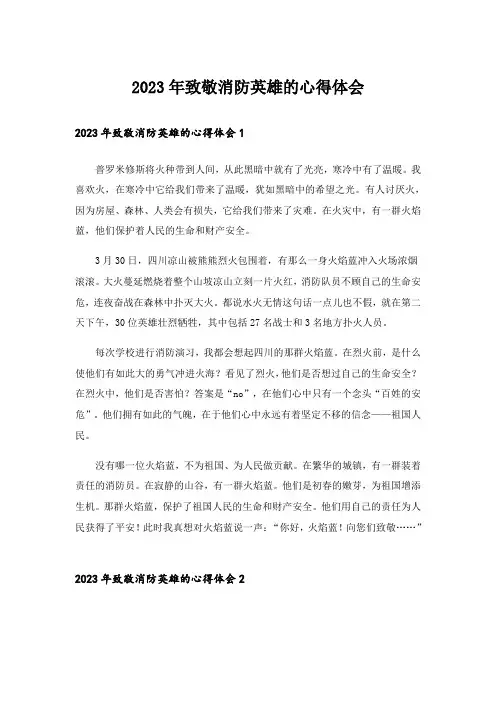 2023年致敬消防英雄的心得体会