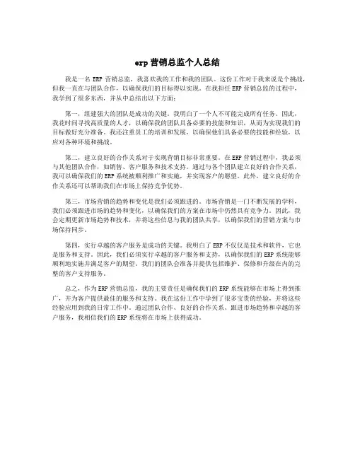 erp营销总监个人总结