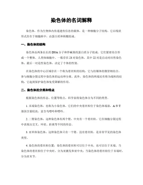 染色体的名词解释