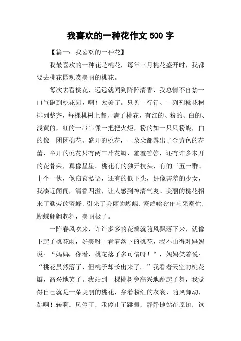 我喜欢的一种花作文500字
