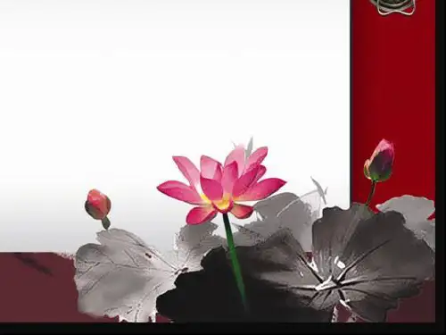 中学生职业规划PPT课件