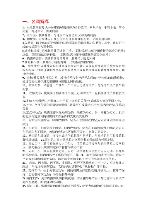 运动解剖学复习资料