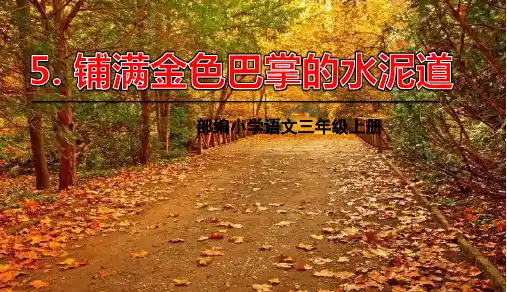 统编版小学语文三年级上册第二单元第5课铺满金色巴掌的水泥路课件