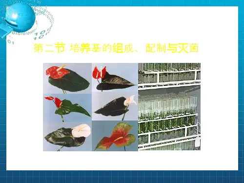 培养基的组成、配制与灭菌