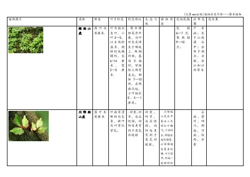 (完整word版)植物分类介绍——藤本植物