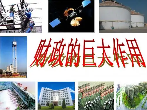 高一政治 财政的巨大作用ppt