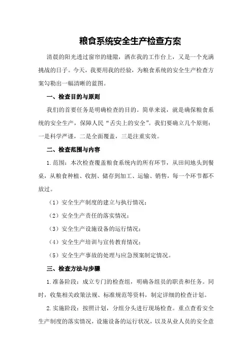粮食系统安全生产检查方案