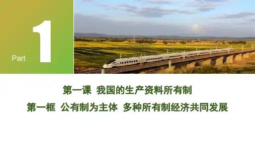 1.1公有制为主体 多种所有制经济共同发展课件高中政治统编版必修二经济与社会 (2)