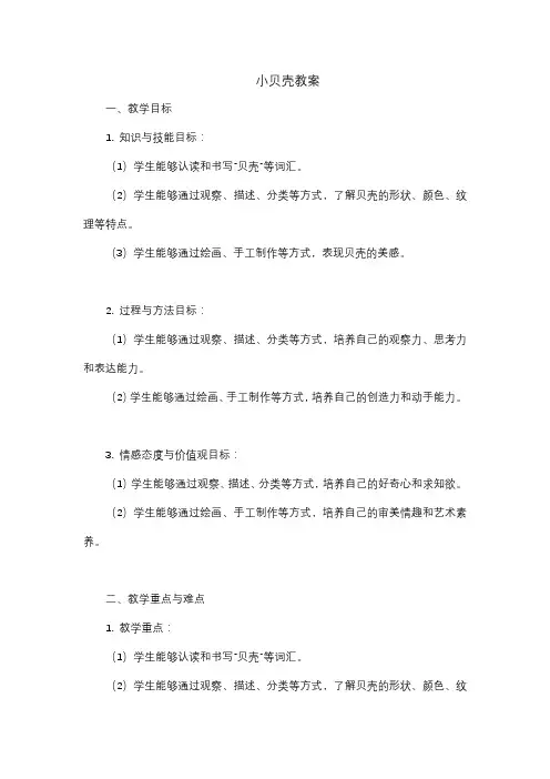 小贝壳教案