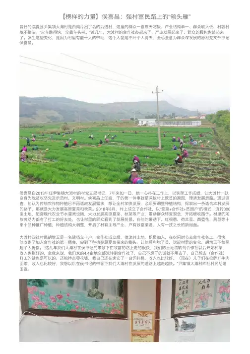 【榜样的力量】侯喜昌：强村富民路上的“领头雁”