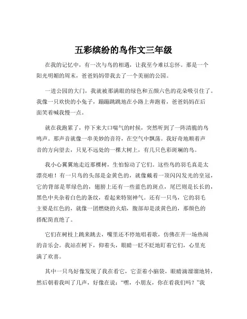 五彩缤纷的鸟作文三年级