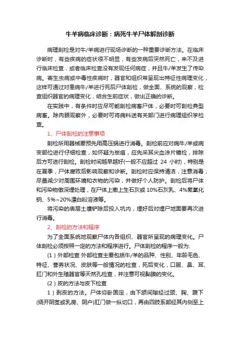 牛羊病临床诊断：病死牛羊尸体解剖诊断
