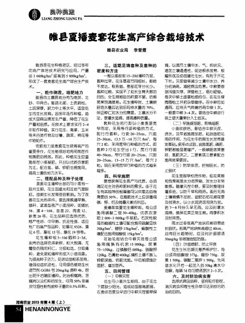 睢县夏播麦套花生高产综合栽培技术