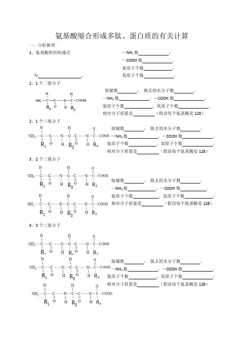 生物人教版一年级上册 氨基酸缩合形成多肽、蛋白质的有关计算