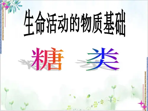 《糖类》ppt-课件下载【人教版】