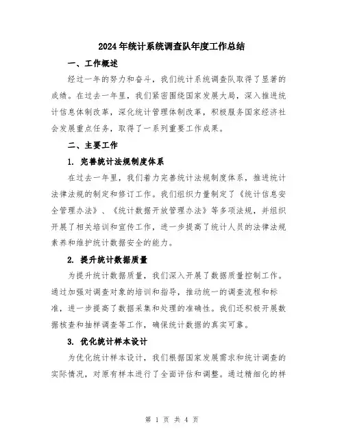 2024年统计系统调查队年度工作总结