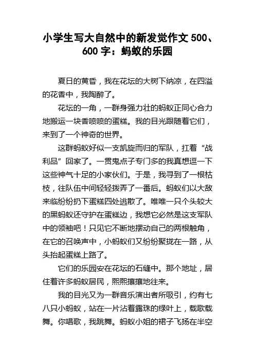 小学生写大自然中的新发觉作文500、600字：蚂蚁的乐园
