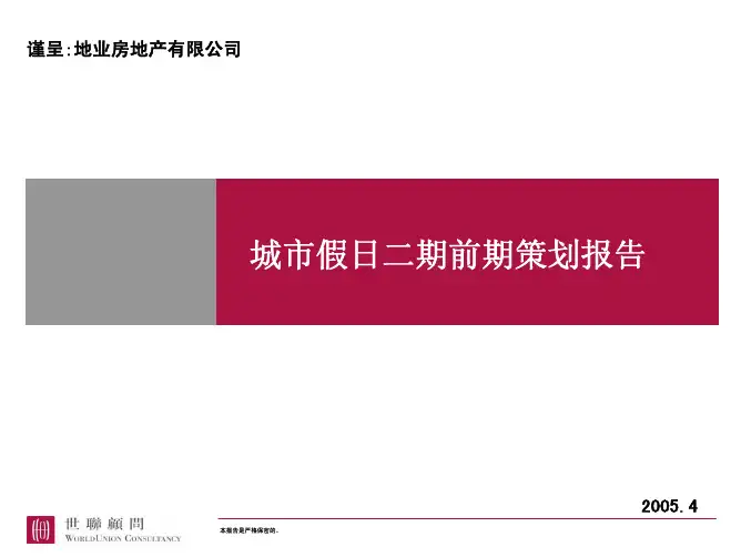 世联深圳城市假日2期前期策划报告