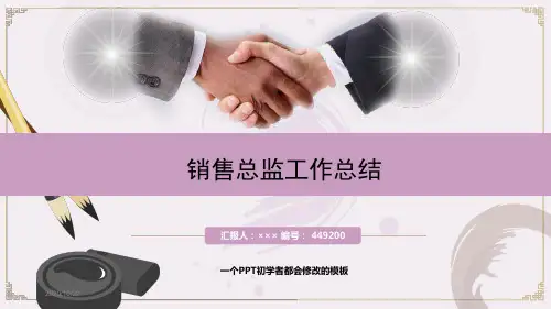 最新销售总监工作总结述职PPT模板