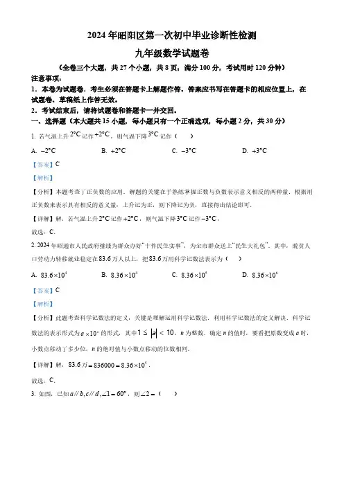 2024年云南省昭通市昭阳区九年级中考一模数学试题(解析版)