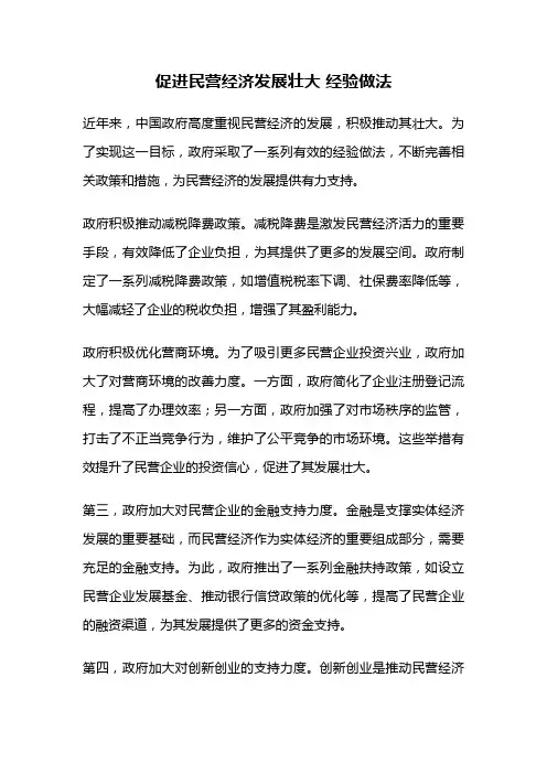 促进民营经济发展壮大 经验做法