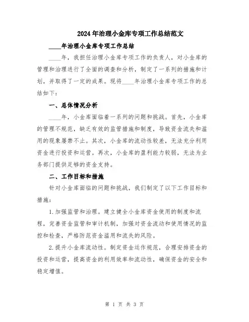 2024年治理小金库专项工作总结范文