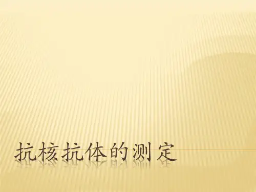 抗核抗体测定