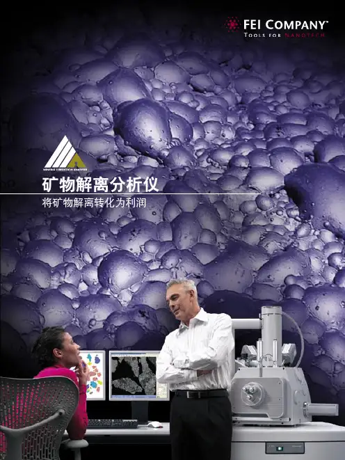 01 MLA矿物解离分析仪简介