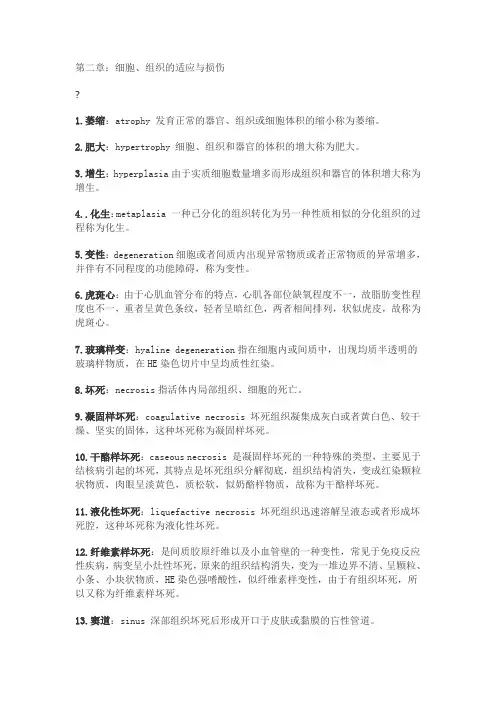 病理学—名词解释