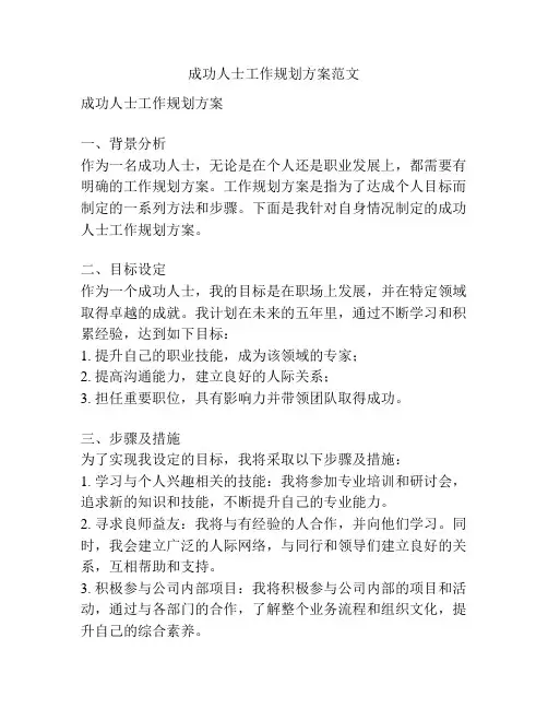 成功人士工作规划方案范文
