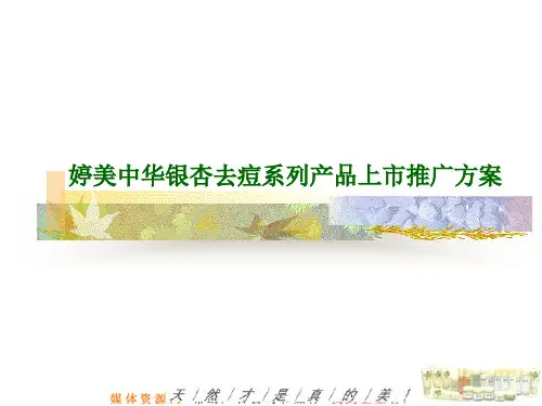 婷美中华银杏去痘系列产品上市推广方案