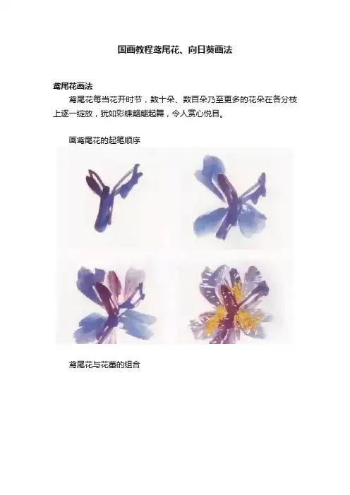 国画教程鸢尾花、向日葵画法