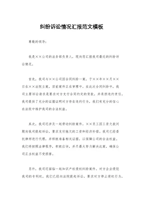 纠纷诉讼情况汇报范文模板