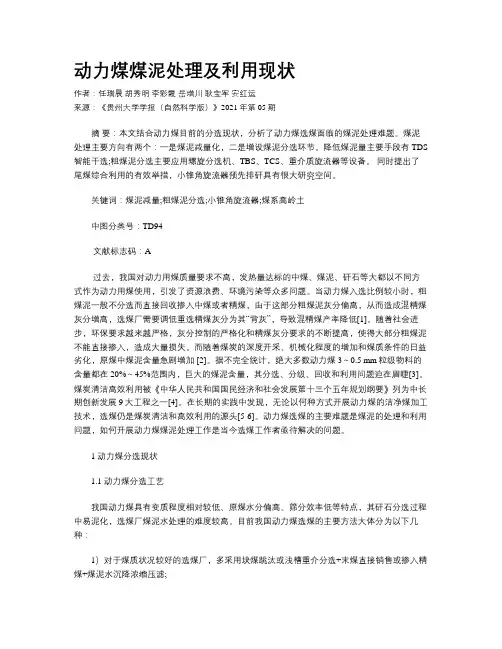 动力煤煤泥处理及利用现状