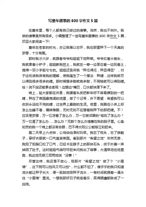 写童年趣事的800字作文5篇