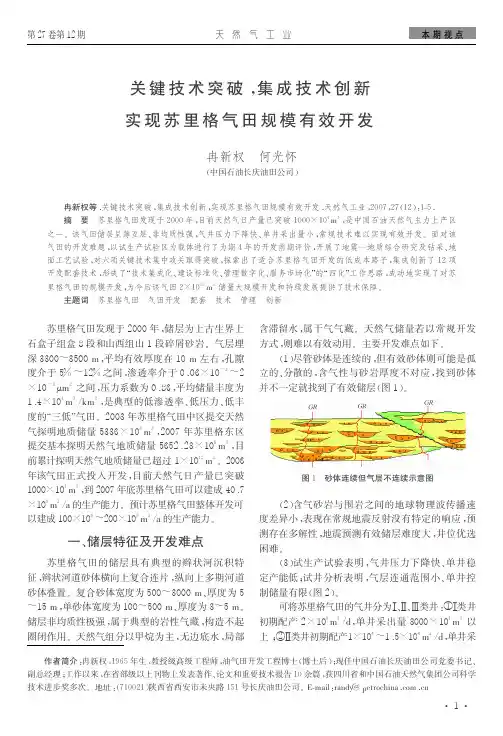 实现苏里格气田规模有效开发