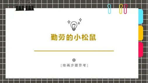 2024年《勤劳的小松鼠》-美术课件