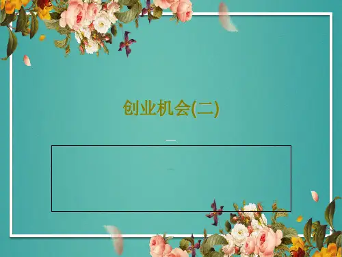 创业机会(二)PPT文档共40页