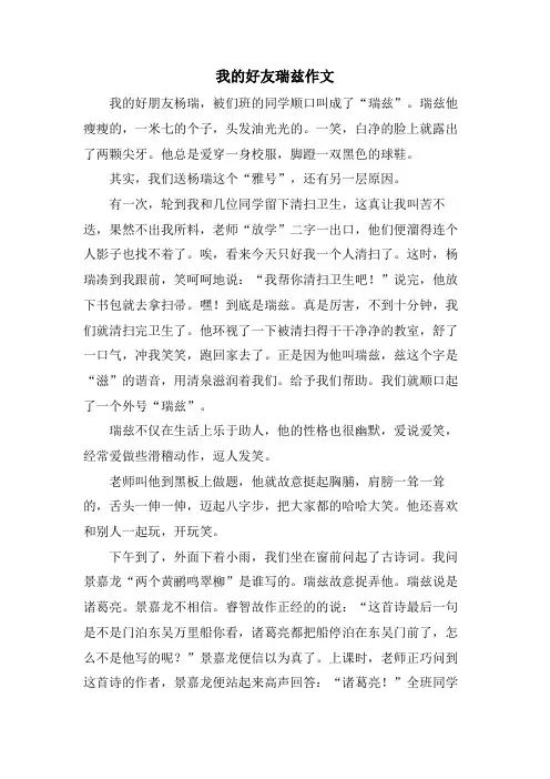 我的好友瑞兹作文