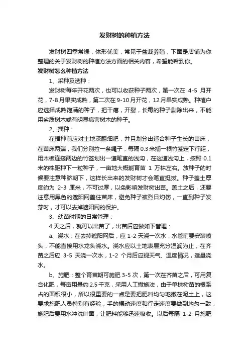 发财树的种植方法