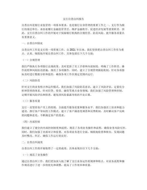 支行自查自纠报告